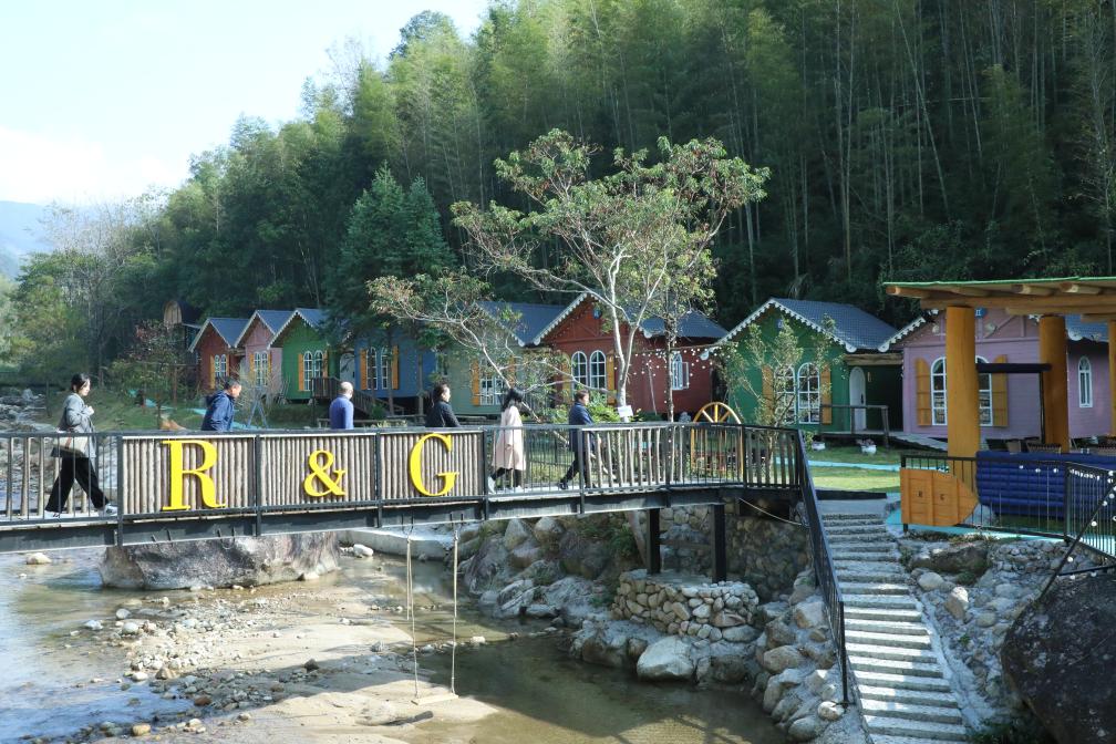 新春走基层丨“森宿”热带火赣南乡村