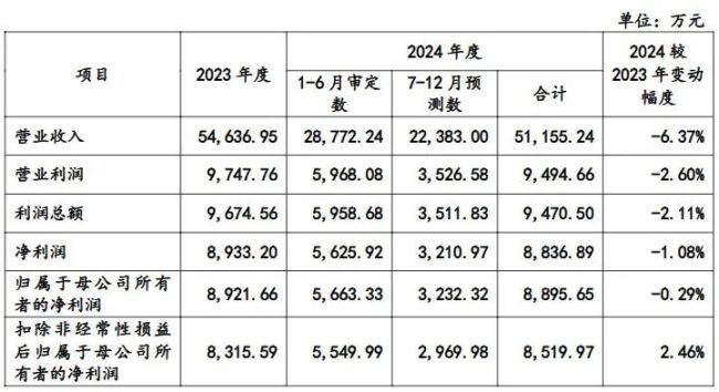 业绩“失速”、过度依赖大客户，矽电股份仍头悬“利剑”