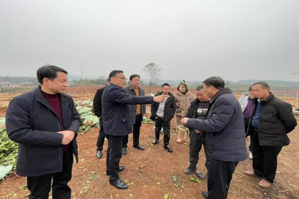 常宁市：以绿色开篇，节后掀起造林绿化高潮