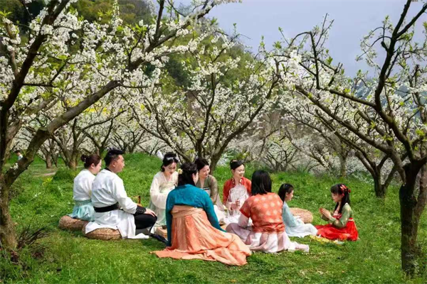 春意盎然，李花盛开——2025邛崃临济李花活动邀你共赏春光