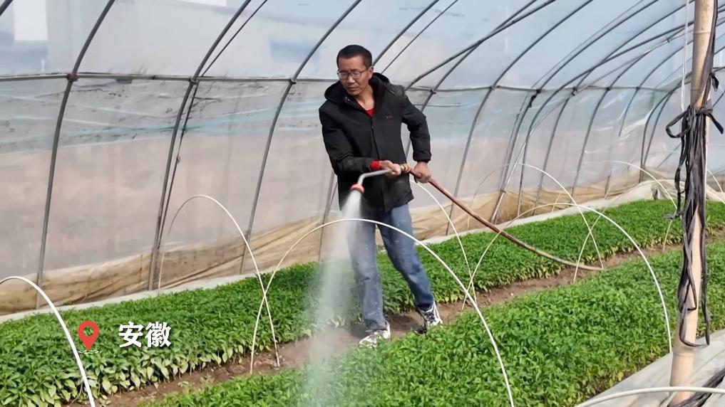 新华视点丨惊蛰至 春耕忙