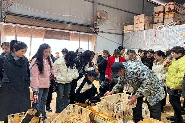 耒阳市马水镇庆“三八”国际妇女节115周年暨“巾帼风采行·传承好家风”主题活动