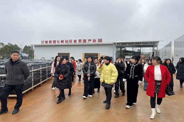 耒阳市马水镇庆“三八”国际妇女节115周年暨“巾帼风采行·传承好家风”主题活动
