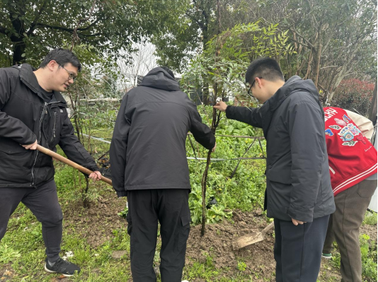“植”此青绿，不负春光 ——浦发银行宁波分行团委开展植树活动