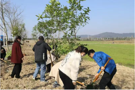 常德市公共资源交易中心开展义务植树活动