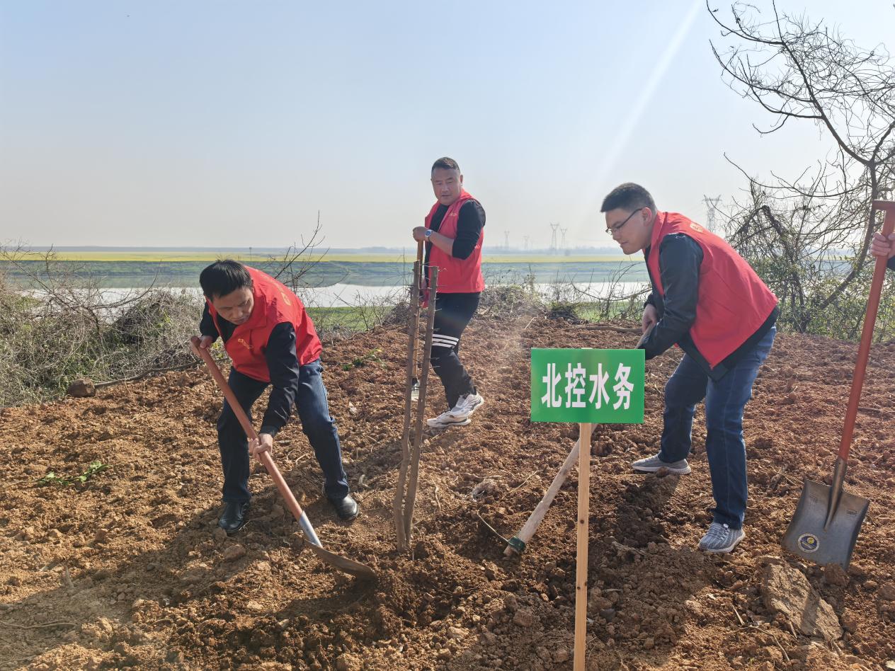 津市北控水务：开展义务植树活动 推动建设美丽津市