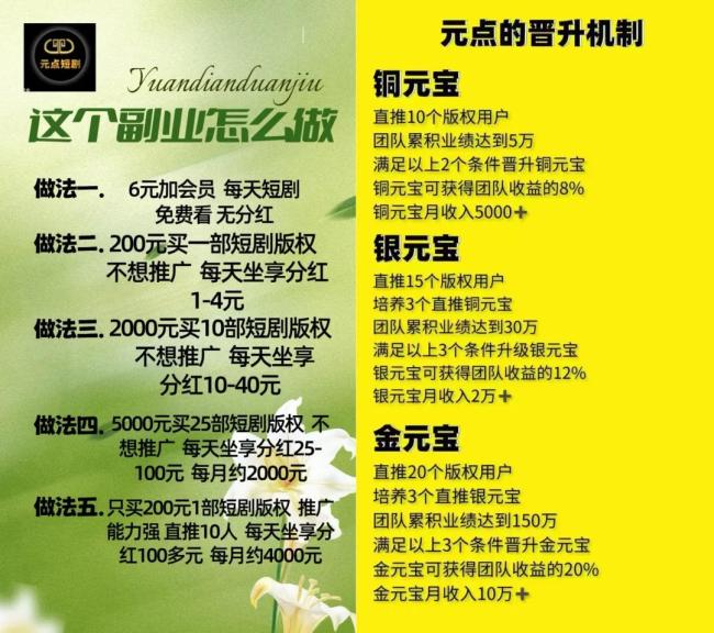 元点短剧相关宣传推广资料