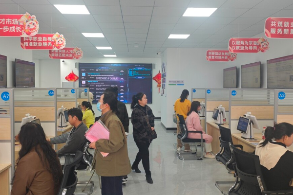 2025年岳塘区人力资源市场首场日常招聘会启幕 智能化服务助力就业“零距离”
