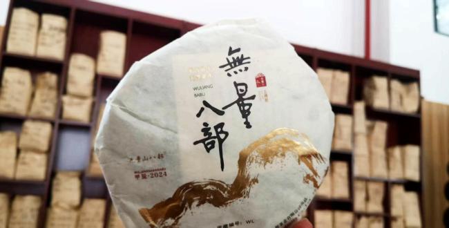 钟睒睒：云南的茶叶是长出来的，不是种出来的