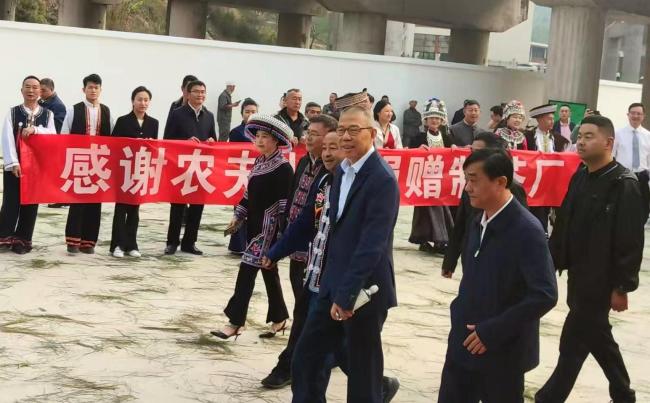 钟睒睒：云南的茶叶是长出来的，不是种出来的