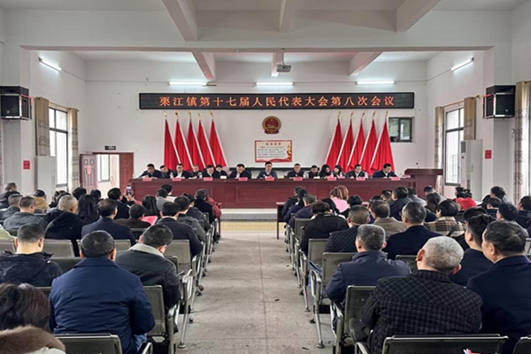 衡南县栗江镇：第十七届人民代表大会第八次会议胜利召开