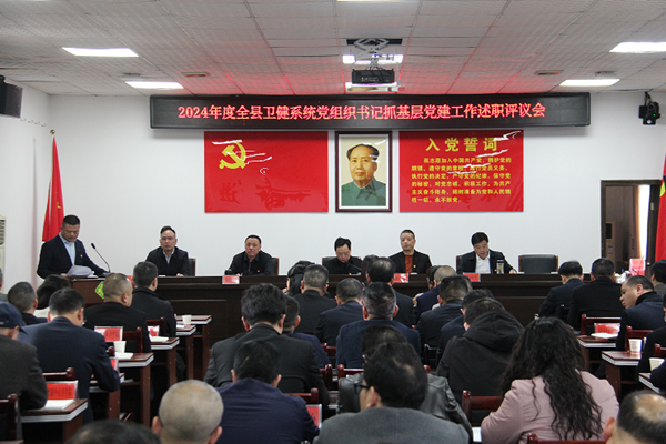衡阳县卫健系统召开2024年度党组织书记抓基层党建工作述职评议会