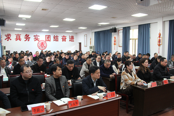 衡阳县卫健系统召开2024年度党组织书记抓基层党建工作述职评议会