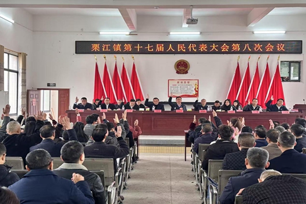 衡南县栗江镇：第十七届人民代表大会第八次会议胜利召开