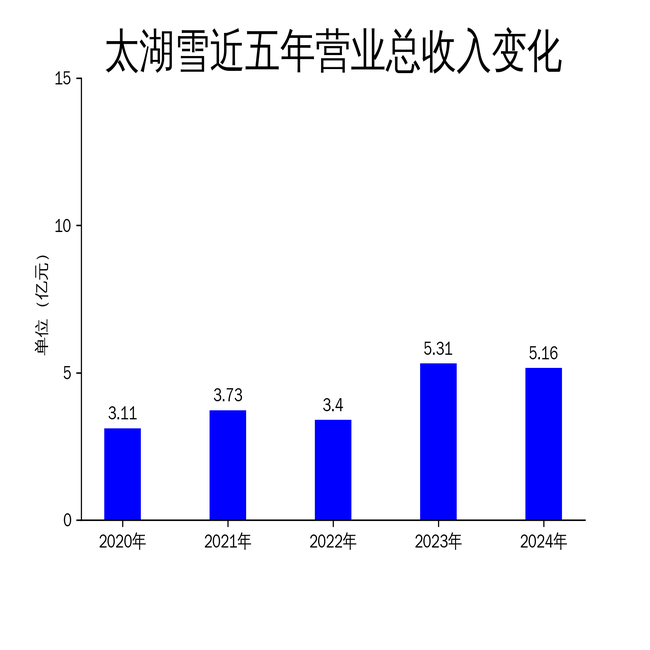 专利增长≠市场买单：营收净利双降，太湖雪2024年报揭示品牌创新与现实差距