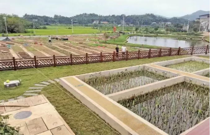 湘潭市：“三个结合”铸就农村人居环境新图景