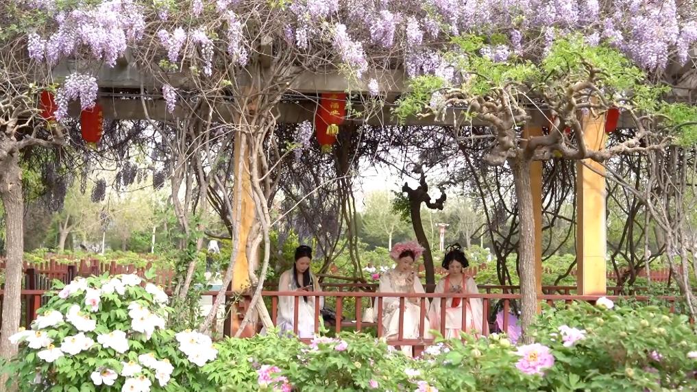 供需两侧精准发力 消费市场亮点频现