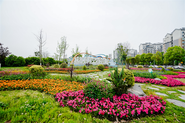 双流城区五一前花卉大换新，城市景观焕然一新