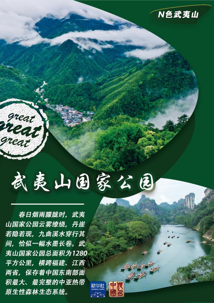 N色武夷山