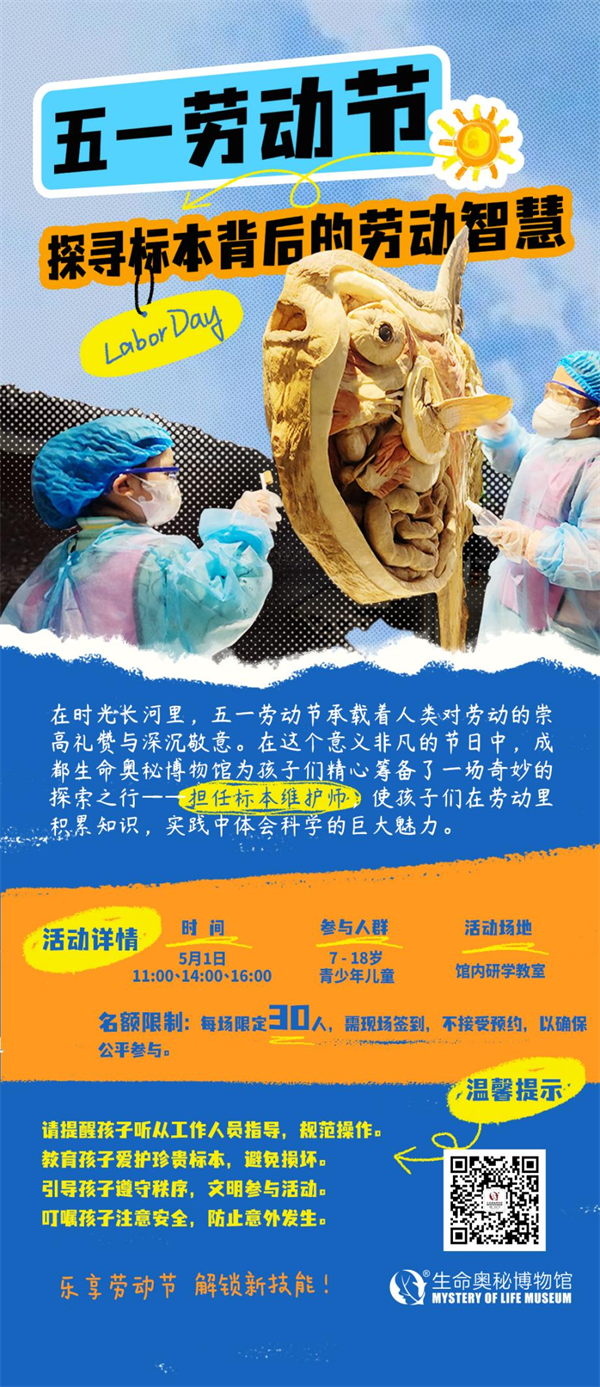 五一假期开启 到成都生命奥秘博物馆当“标本维护师”