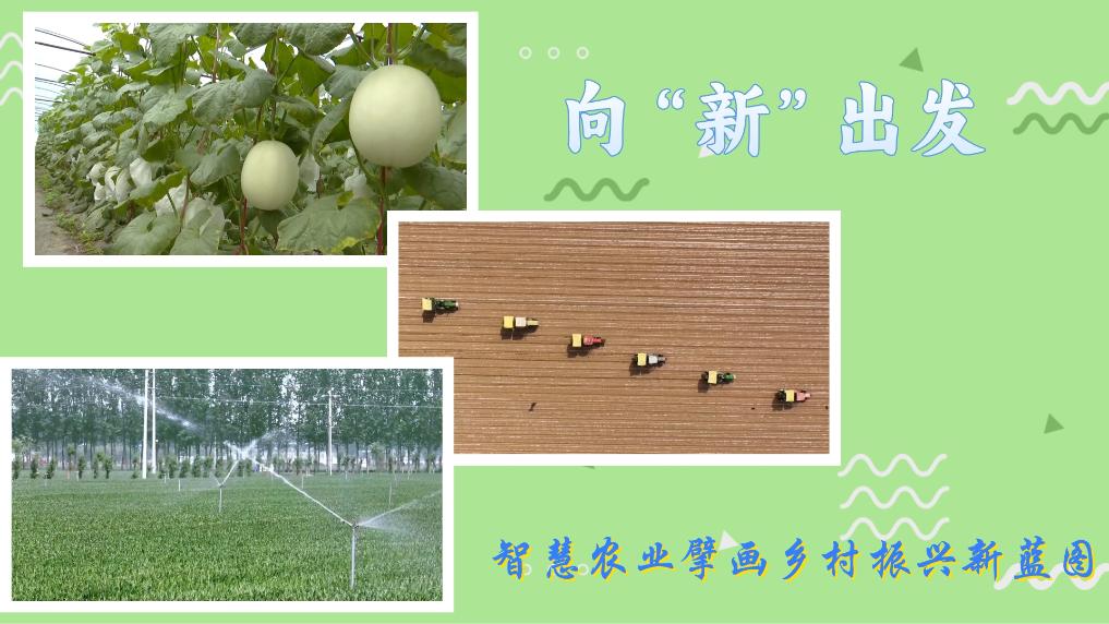 向“新”出发 智慧农业擘画乡村振兴新蓝图