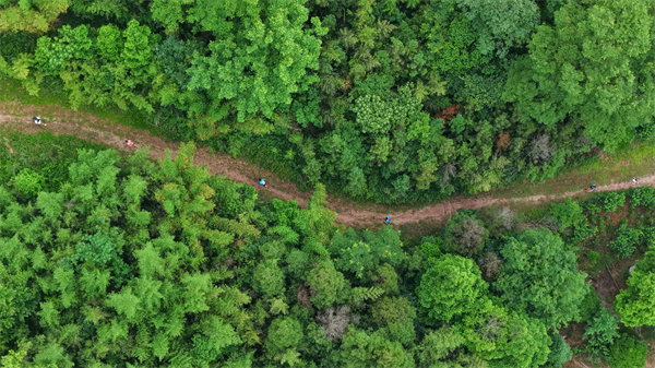 2025 UTO助力首百成都天台山越野挑战赛圆满落幕 邛崃市体育+文旅融合推动城市高质量发展