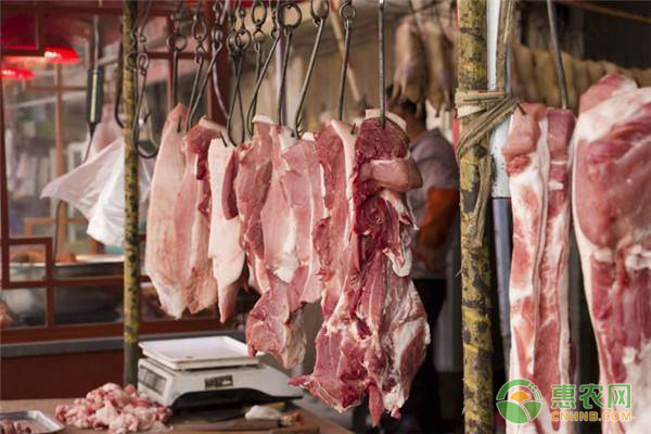 猪价反扑怎么回事？今日猪肉价格多少钱一斤？ 