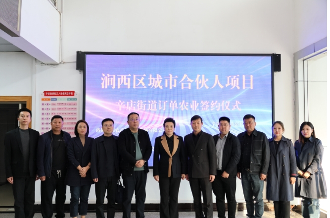 洛阳市涧西区辛店街道办事处：以主题教育赋能乡村振兴